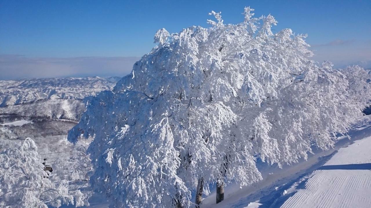 Nozawa Dream Central Exterior photo